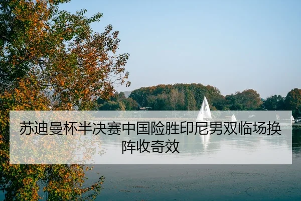 苏迪曼杯半决赛中国险胜印尼男双临场换阵收奇效