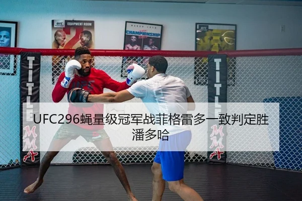 UFC296蝇量级冠军战菲格雷多一致判定胜潘多哈