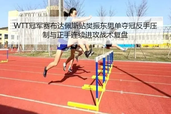 WTT冠军赛布达佩斯站樊振东男单夺冠反手压制与正手连续进攻战术复盘
