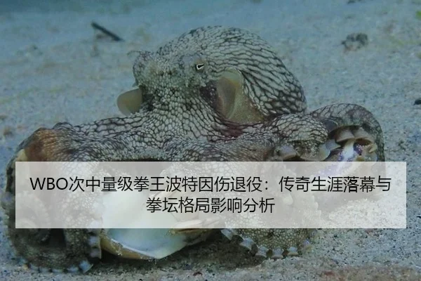 WBO次中量级拳王波特因伤退役：传奇生涯落幕与拳坛格局影响分析